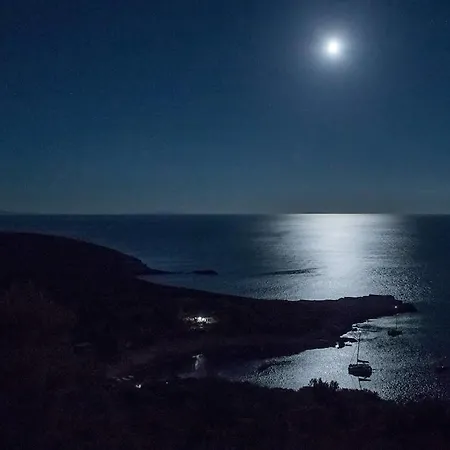 Molo Trovna Vis